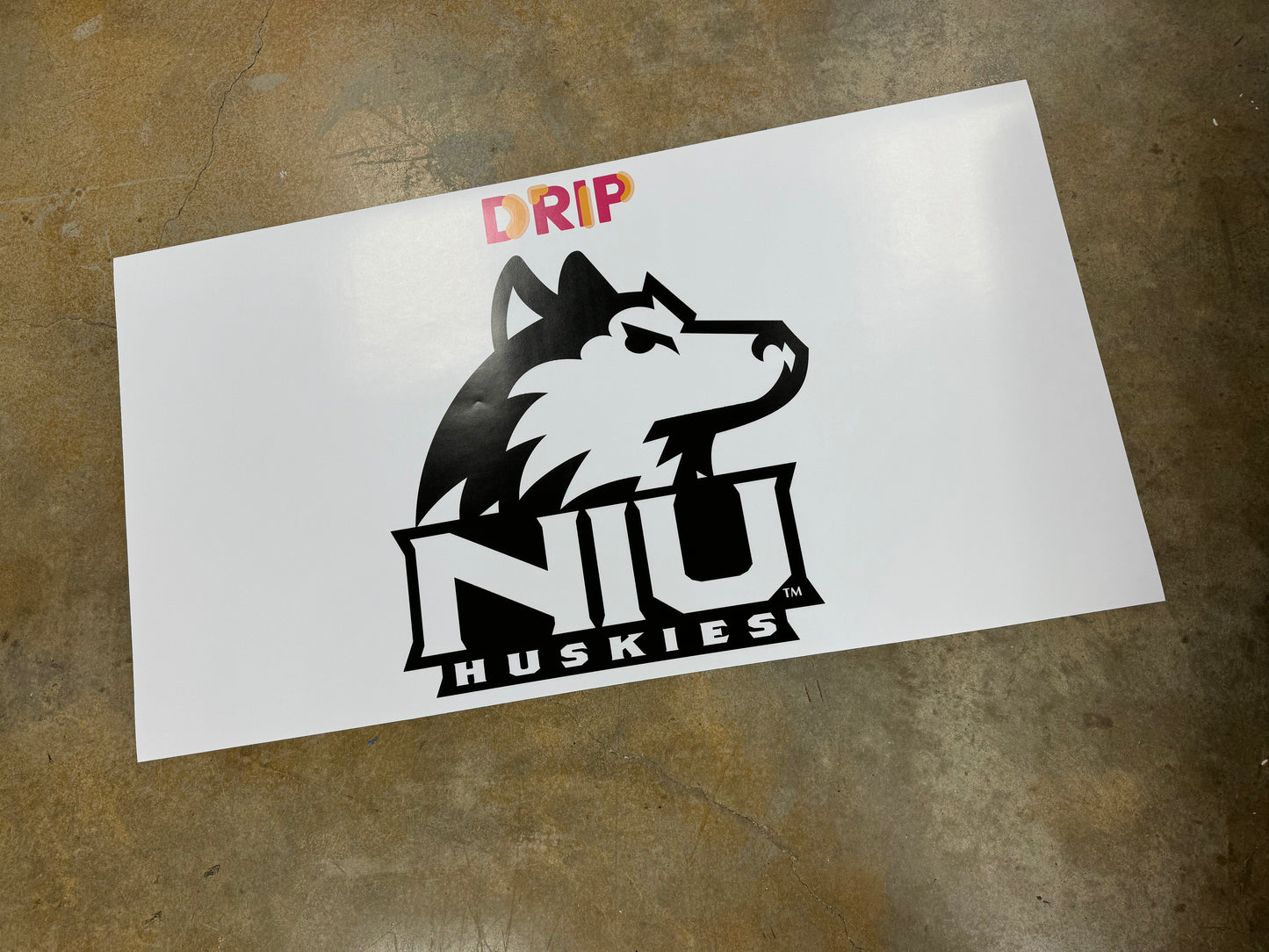 Custom Poster Printing – High-Resolution Posters, Fast Turnaround